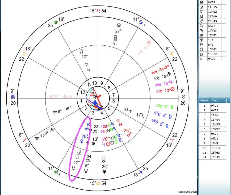My sister and I's birth charts. Her south node is conjunct my Venus with a 1 degree orb.