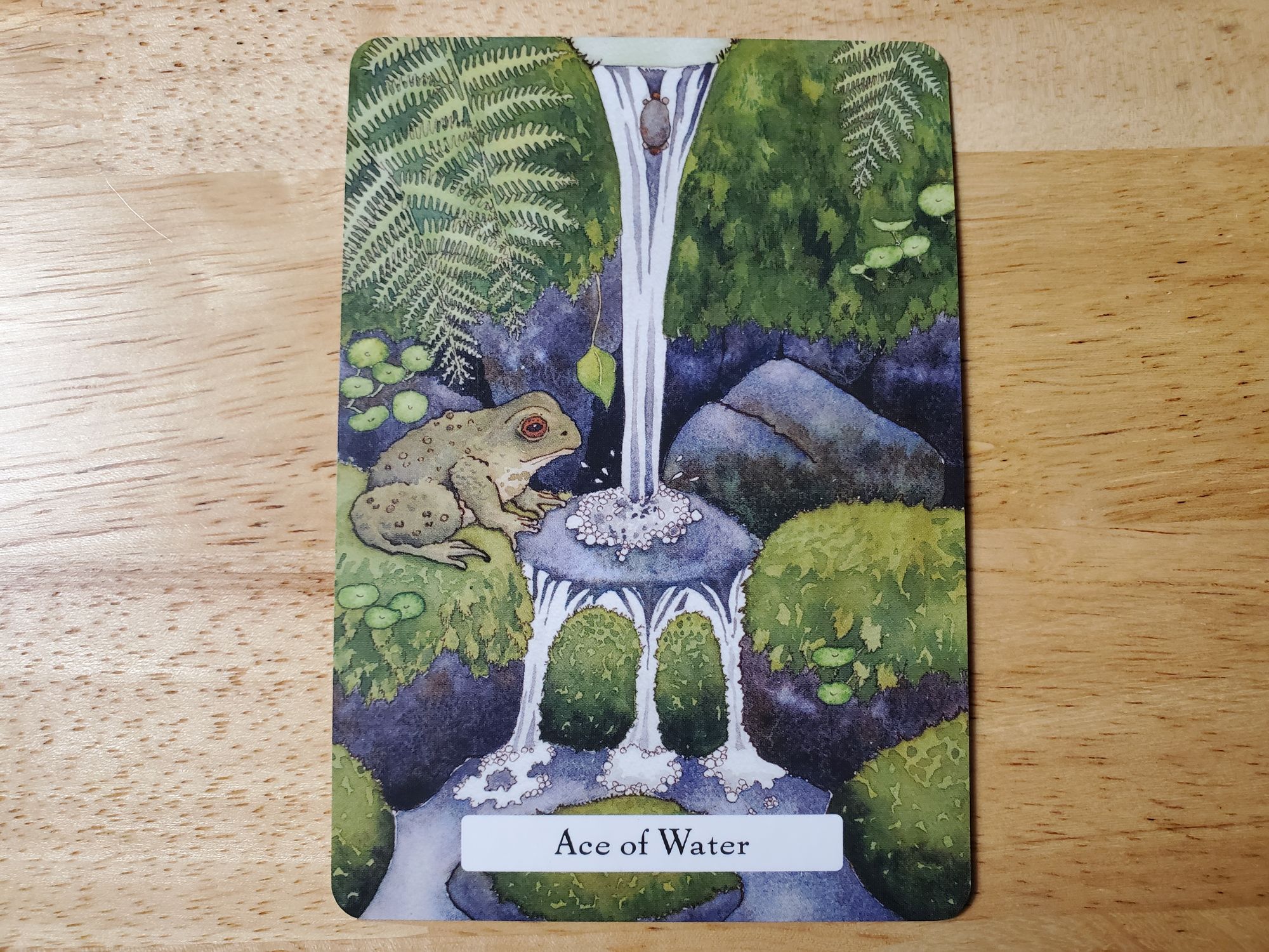 Ace of Water in Witches Wisdom Tarot